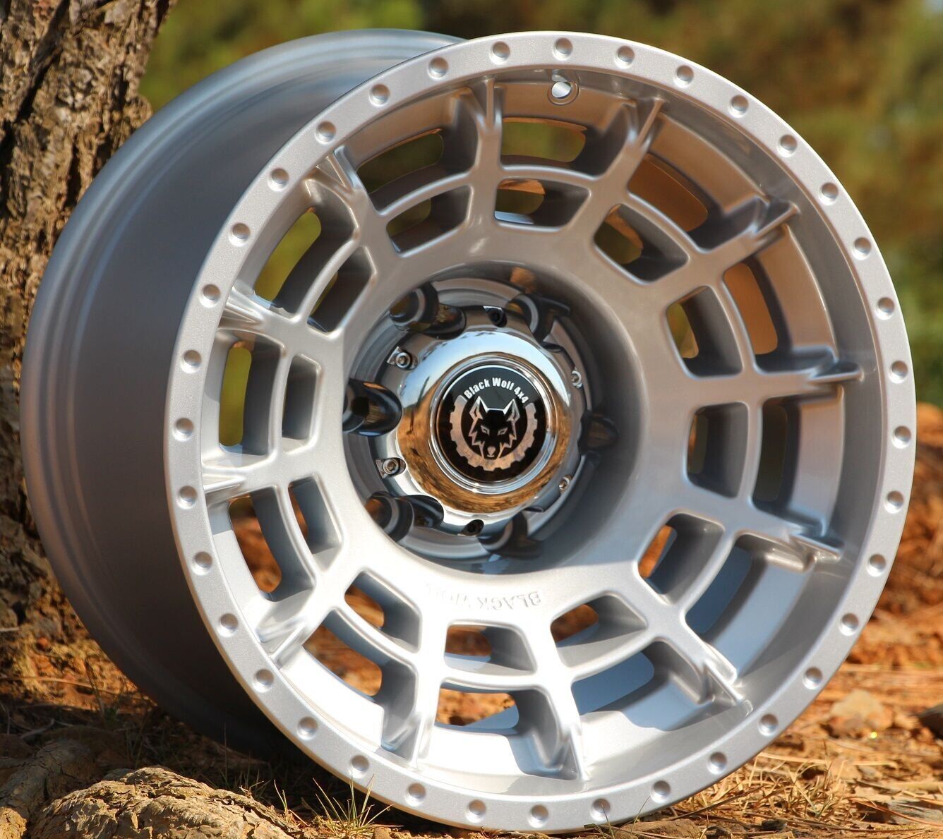 Black Wolf 1071 16X10 5X165.1   ET-44 Silver